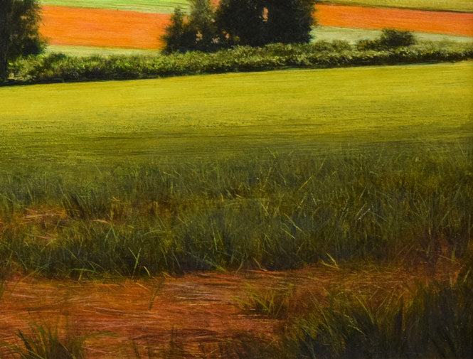 安田祐造〔祐三〕「美瑛~麦の実る頃」油絵・P8号 拡大画像6