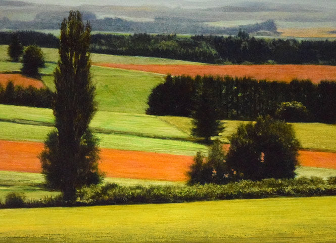 安田祐造〔祐三〕「美瑛~麦の実る頃」油絵・P8号 拡大画像2