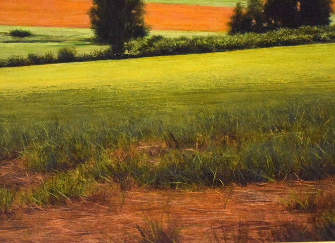 安田祐造〔祐三〕「美瑛~麦の実る頃」油絵・P8号 拡大画像5