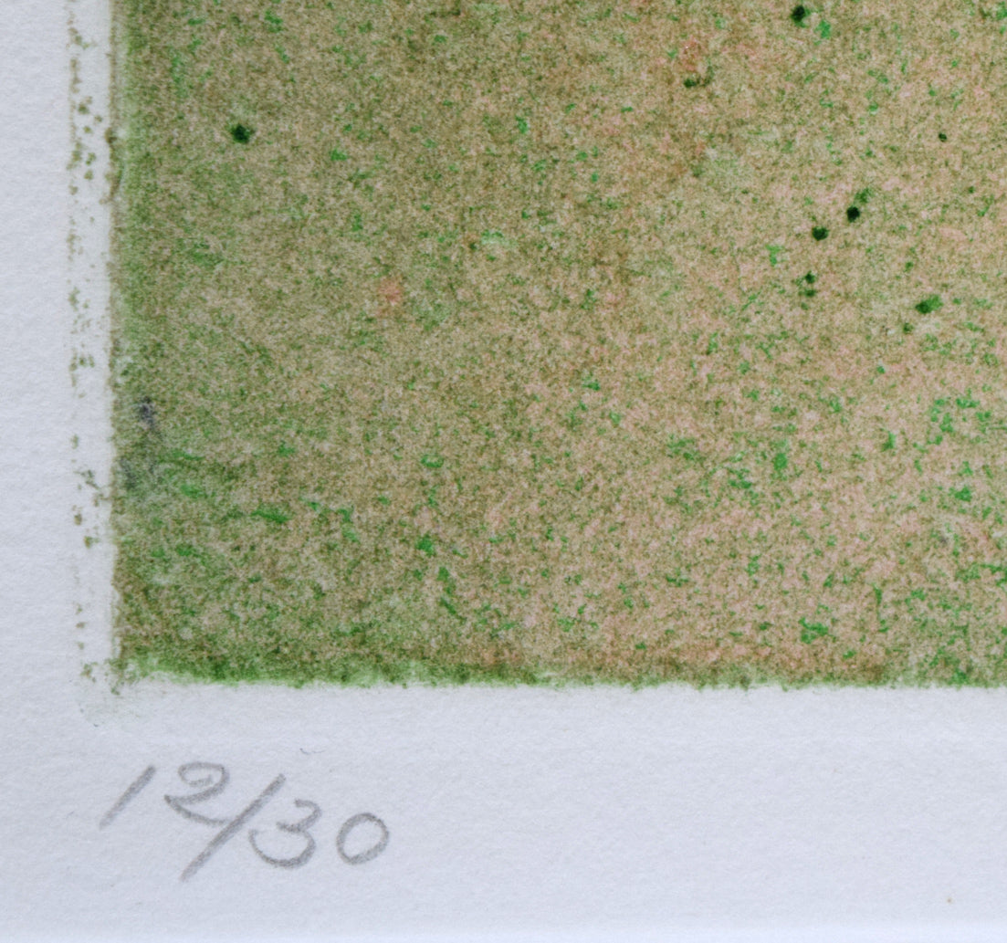 矢柳剛「LA PROPAGATION・繁殖」銅版画 限定番号(ed,12/30)