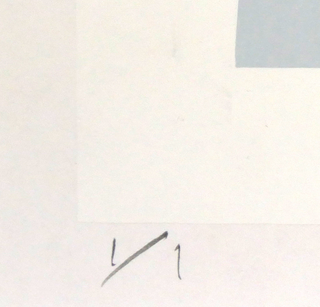 矢崎勝美「Cosmos・1998」モノタイプ1点物版画 限定番号(ed,1/1)