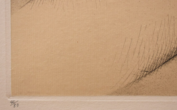 相笠昌義「夏の女」銅版画 限定番号部分(ed,45/80)