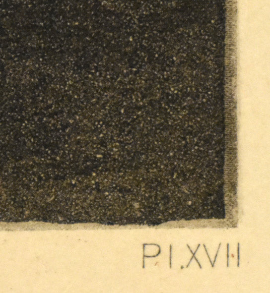 ダ・ヴィンチ「乙女と天秤」モノクロ銅版画 拡大部分2