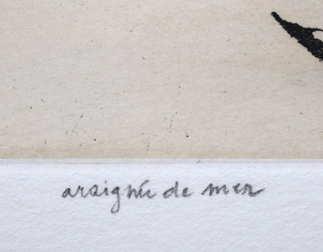 エリック・デマジエール「Araigne　de　mer」銅版画　タイトル部分