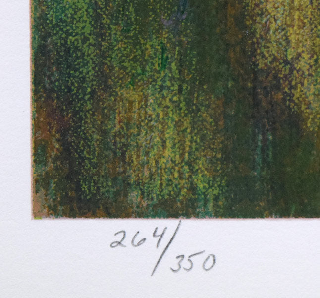 ドン・ハットフィールド「サイレントリフレクション」シルクスクリーン版画 限定番号(ed,264/350)拡大画像