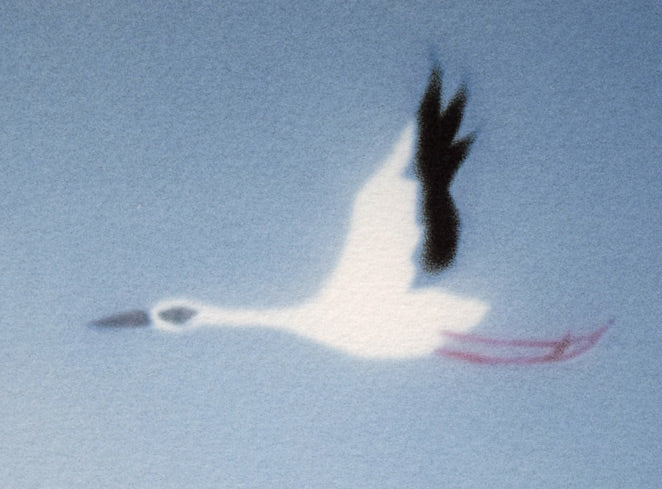 藤城清治「未来に向けての美しい夢」リトグラフ 拡大画像3