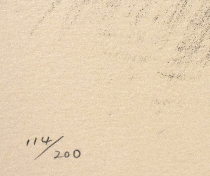 舟越保武「若い女・聖セシリア」リトグラフ 限定番号部分(ed,114/200)