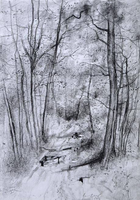 ガントナー「Allée　forestière（森の並木道）」紙にコンテ（素描）　作品全体拡大画像
