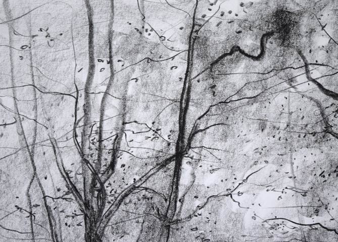 ガントナー「Allée　forestière（森の並木道）」紙にコンテ（素描）　拡大画像1