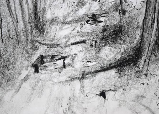 ベルナール ガントナー(Bernard GANTNER)「Allée forestière(森の並木道)」紙にコンテ(素描)・8号大 拡大画像4