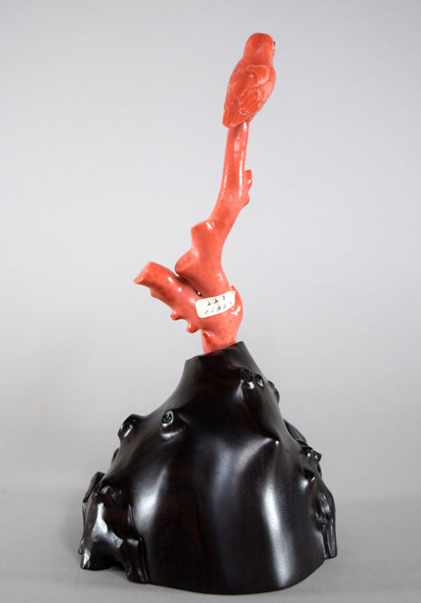 橋本秀光「かわせみ」本珊瑚彫刻 斜め後ろ