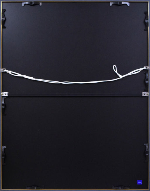 ハワード・フィンスター「Baby Elvis」シルクスクリーン版画 額縁裏側画像