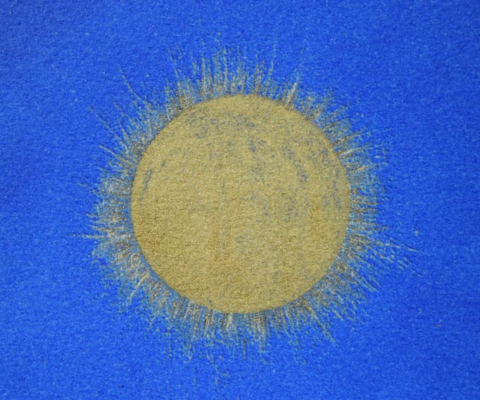 平山郁夫「月明砂漠行く」リトグラフ 拡大画像1