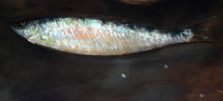 本間 武男「鰊(ニシン)」パステル画・F10号 拡大画像2