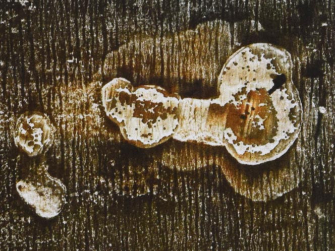 一原有徳「無題(茶)」銅版画・1995年作 拡大画像1