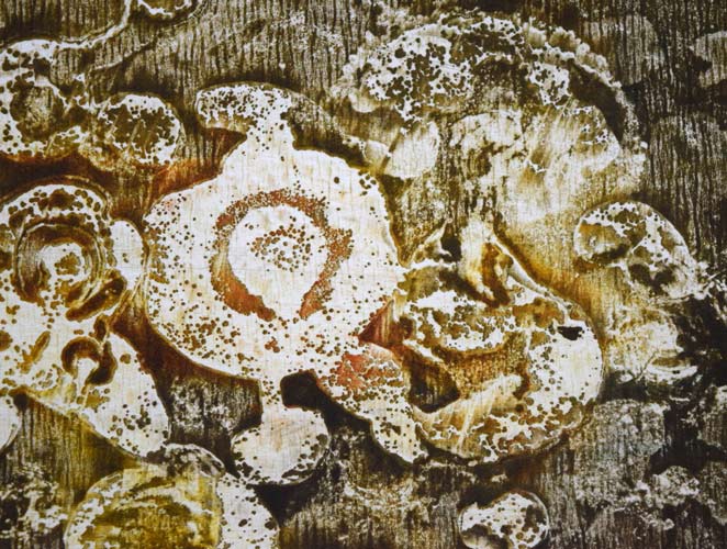 一原有徳「無題(茶)」銅版画・1995年作 拡大画像3