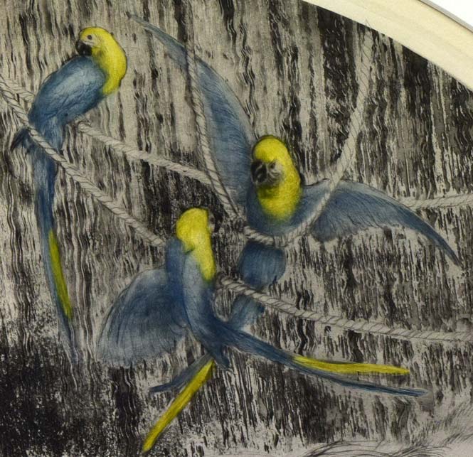 ルイ・イカール「オウム」銅版画(エッチング)・1925年作 拡大画像3