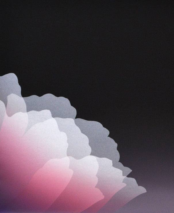 井上 公三「LES GRANDES ECLOSIONS」シルクスクリーン版画 拡大部分1