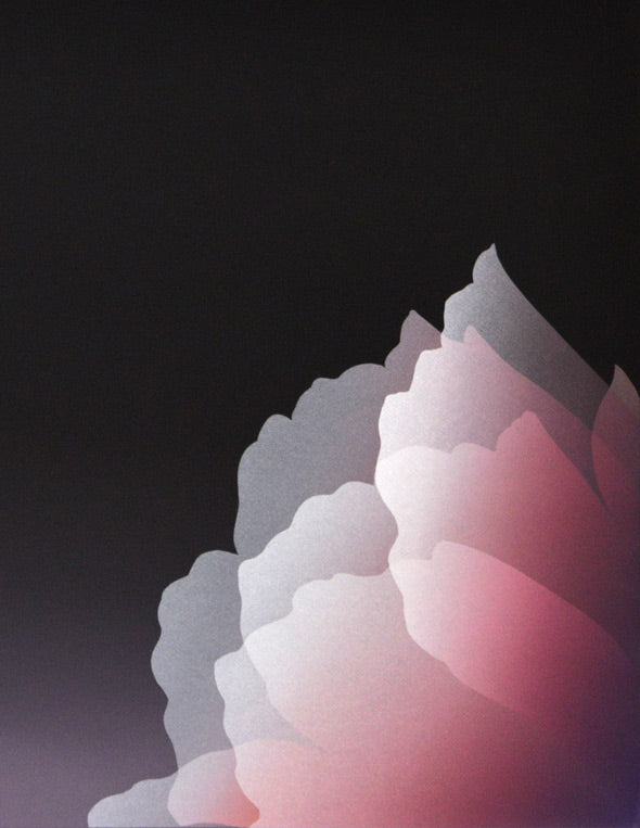 井上 公三「LES GRANDES ECLOSIONS」シルクスクリーン版画 拡大部分2