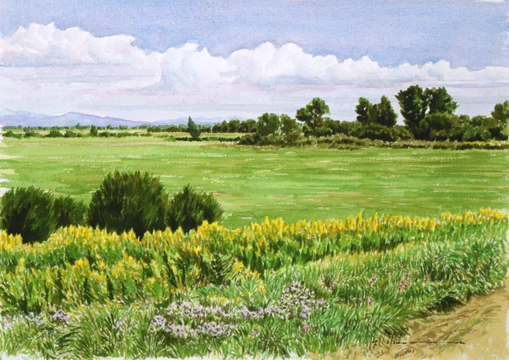 石川雄一「石狩川河畔(江別・角山)」水彩画 作品全体拡大画像