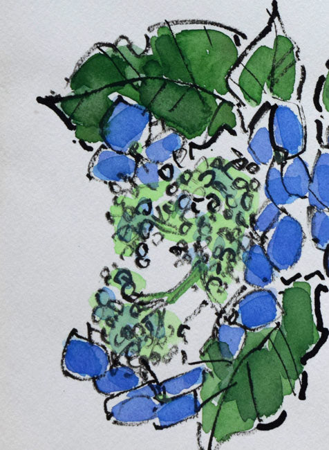 糸大八「あじさい」水彩画 拡大画像1