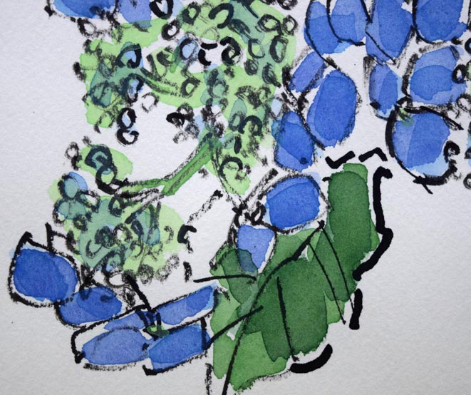 糸大八「あじさい」水彩画 拡大画像3