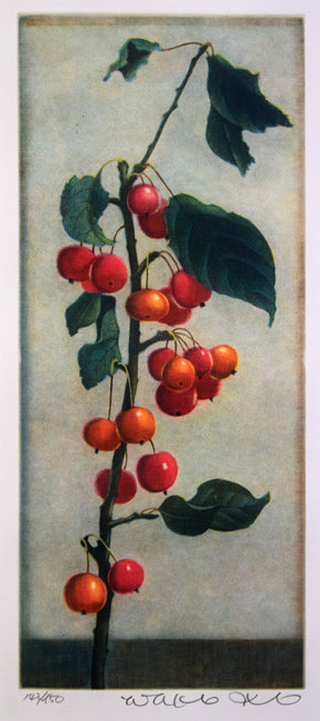 伊藤倭子「赤い実」銅版画　作品全体拡大画像