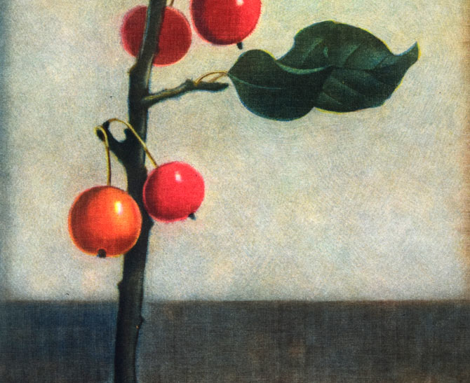 伊藤倭子「赤い実」銅版画 拡大画像3