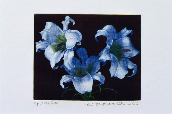 伊藤倭子「白百合」銅版画 作品全体拡大画像