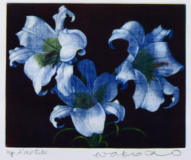 伊藤倭子「白百合」銅版画 限定番号部分(エプルーヴダルティスト=作家保存版)