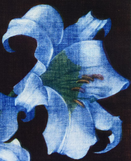 伊藤倭子「白百合」銅版画 拡大画像4