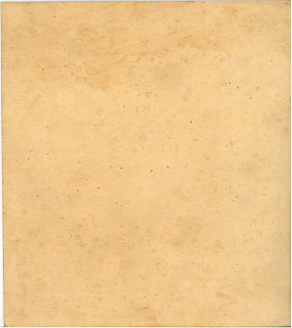 木田金次郎「椿之図」墨彩画 作品裏側画像