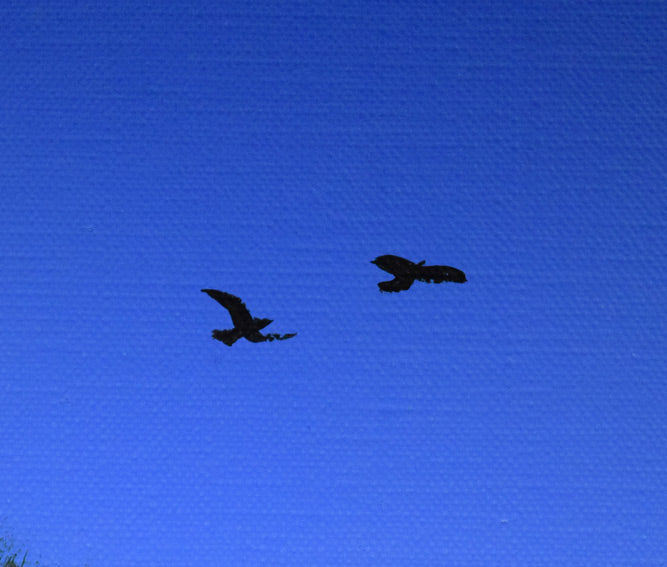 北久美子「三渓園(横浜市)」油絵・P10号 拡大画像3