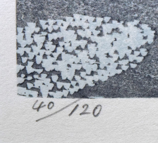 北岡文雄「草萌ゆる湿原」木版画 限定番号(ed,40/120)拡大画像