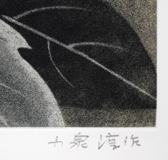 小泉淳作「牡丹双華」銅版画　本人直筆鉛筆サイン画像