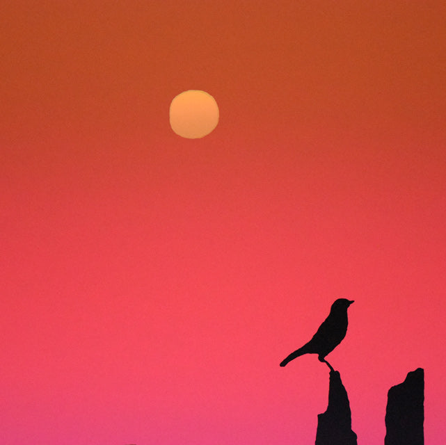 栗谷川健一「トド原哀しく(野付半島)」シルクスクリーン版画 拡大画像1