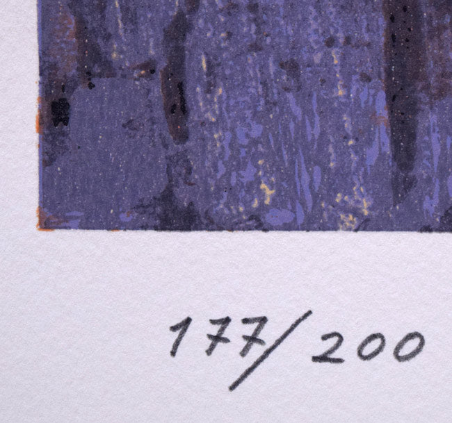 三岸節子「花ヴェロンにて」リトグラフ 限定番号(ed,177/200)拡大画像