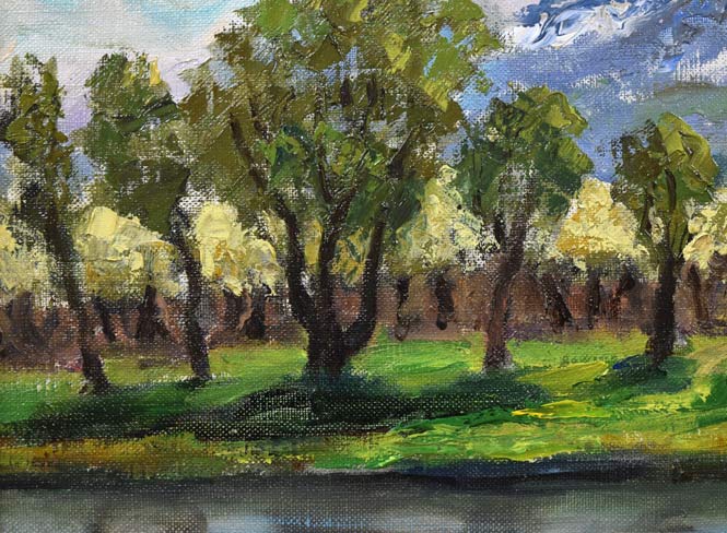 宮川魏「河岸の林檎園(余市町)」油絵・F3号 拡大画像1