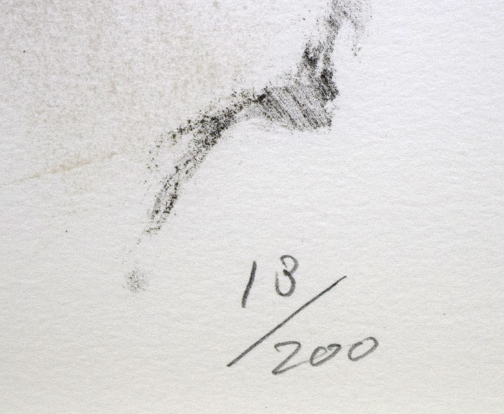 宮永岳彦「女性像」リトグラフ 限定番号部分(ed,13/200)