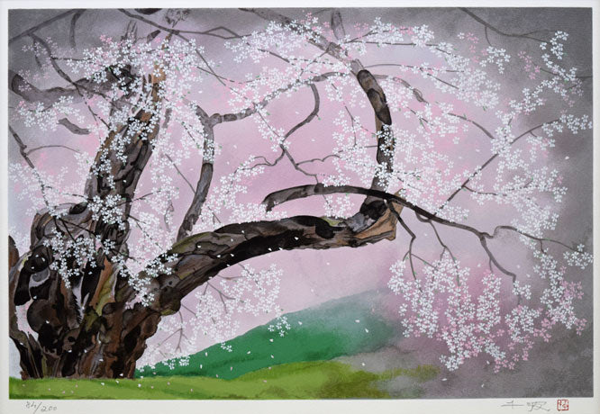 中島千波「臥龍櫻」シルクスクリーン版画 作品全体拡大画像