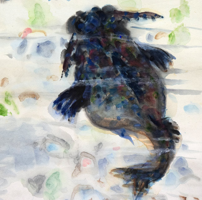 中村善策「魚図」墨彩画掛軸 拡大画像3