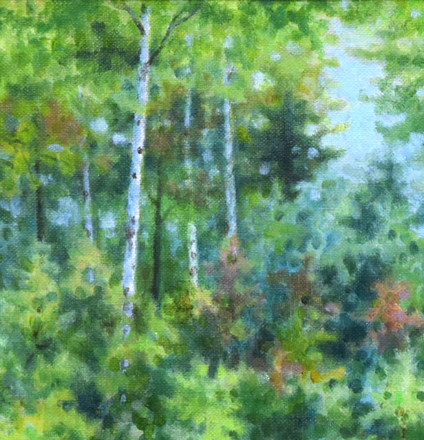 中西尭昭「白樺林」油絵・P6号 拡大画像1