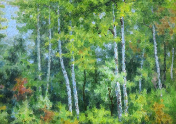 中西尭昭「白樺林」油絵・P6号 拡大画像2