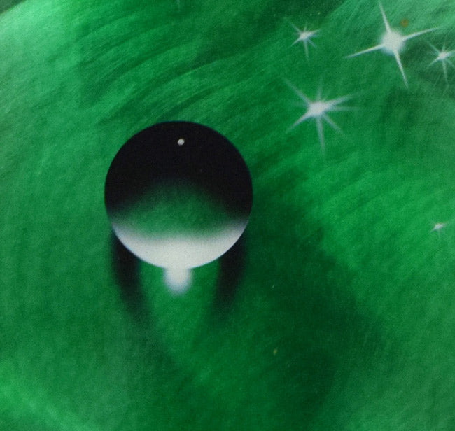 クリスチャン リース ラッセン(Christian Riese Lassen)「オーダータートル(L)」オリジナル1点物 拡大画像4