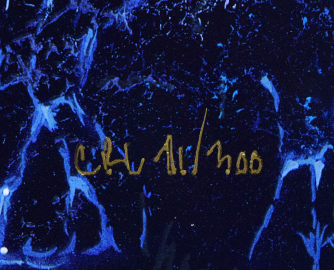 クリスチャン リース ラッセン(Christian Riese Lassen)「セレニティS/N」ミクスドメディア版画 限定番号(ed,71/300)拡大画像