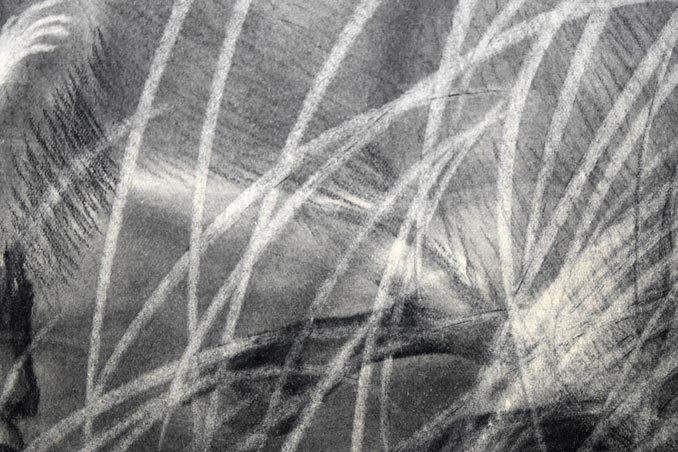 露山(本名:畠中 清喜)「イノシシとネズミ」木炭画 拡大画像3