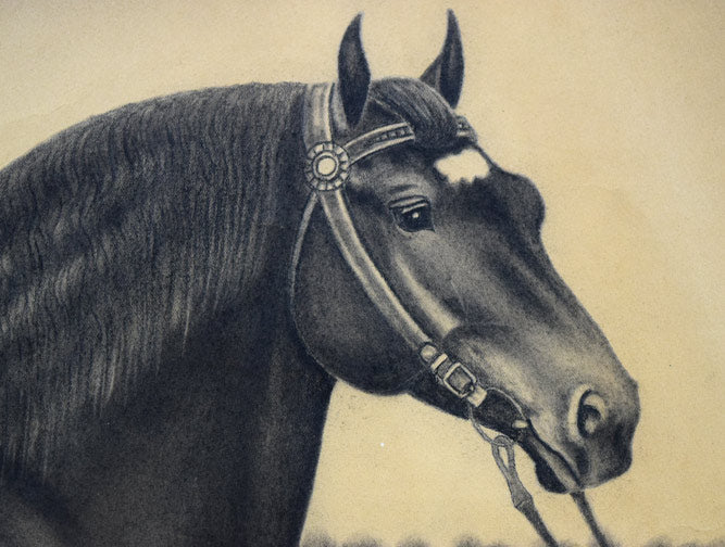 露山(本名:畠中清喜)「馬」木炭画 拡大画像1