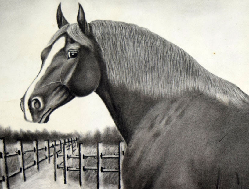 露山(本名:畠中清喜)「馬」木炭・水墨 拡大部分1