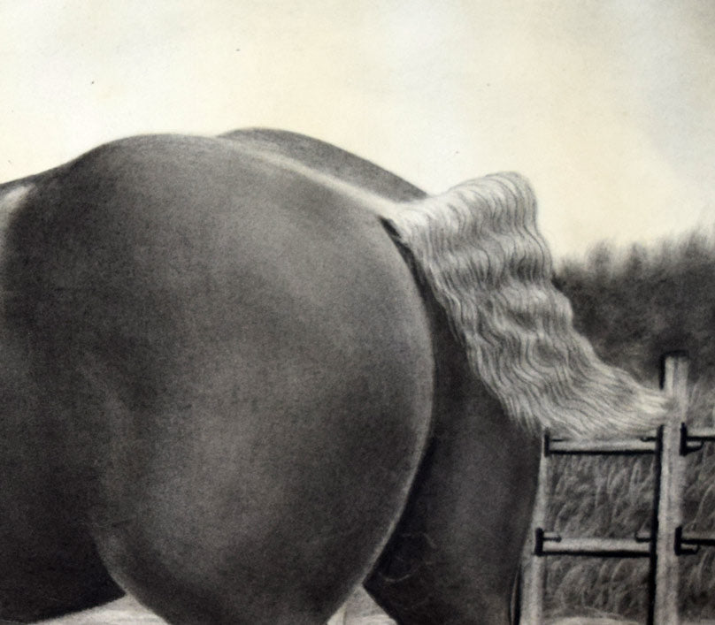 露山(本名:畠中清喜)「馬」木炭・水墨 拡大部分2