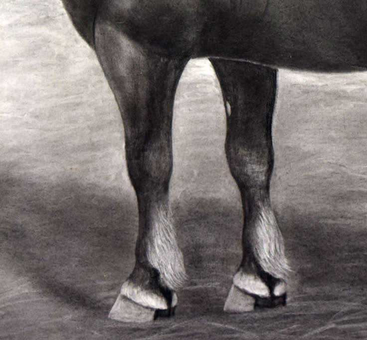 露山(本名:畠中清喜)「馬」木炭・水墨 拡大部分3